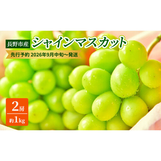 本気農場いけだ 長野市産シャインマスカット2房(約1kg)[2026年9月中旬以降の出荷分](本気農場いけだ) | シャインマスカット ぶどう フルーツ