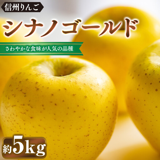前島農家 シナノゴールド約5kg(12個〜18個)| りんご フルーツ 旬 りんご