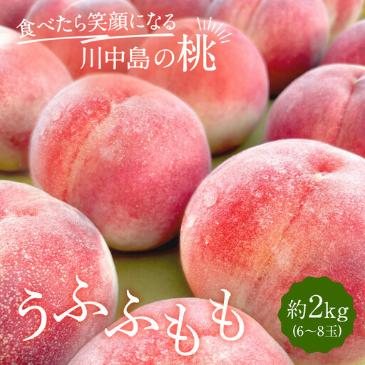 【2027年7月下旬～8月上旬発送予定　先行予約】すーさんの果樹屋 川中島の桃 約2kg 品種おまかせ |桃 フルーツ