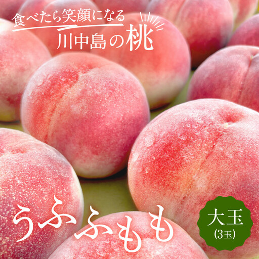 【2027年7月下旬～8月上旬発送予定　先行予約】すーさんの果樹屋 川中島の桃 大玉3玉 品種おまかせ |桃 フルーツ