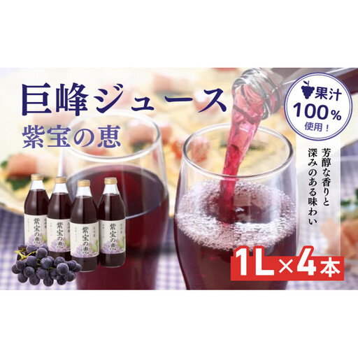 信州産 巨峰ジュース 果汁100% 「紫宝の恵」 (1L×4本) | ジュース 巨峰 ストレート ぶどうジュース