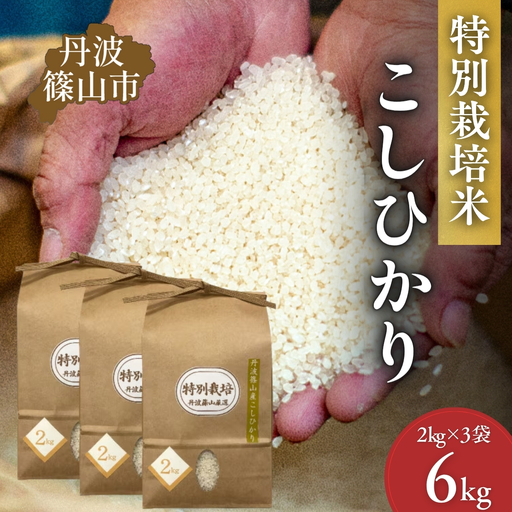 特別栽培米コシヒカリ【新米】特A丹波篠山産  2kg×3 コシヒカリ