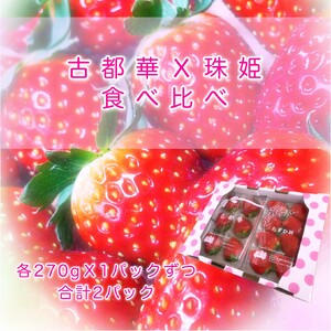 いちご好きのためのいちご 奈良県ブランドいちご 「古都華」「珠姫」食べ比べセット 2027年3月発送