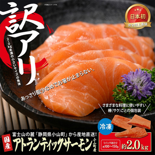 サーモン 訳あり 約2kg 国産サーモン