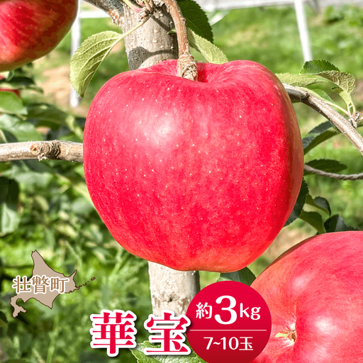 【先行予約】＜2026年10月上旬よりお届け＞北海道壮瞥町　りんご　品種名「華宝」7～10玉 約3kg SBTF014