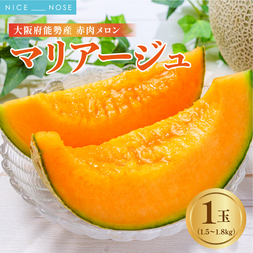 《令和8年8月上旬発送予定》 大阪府能勢町産 赤肉メロン 『マリアージュ』 1玉 (1.5kg-1.8kg) | 西河農園 | 国産 フルーツ 果物 デザート 甘い | 8月発送 夏季限定 |  ギフト 贈り物 |  大阪府 能勢町 送料無料