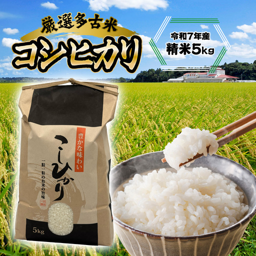 厳選多古米コシヒカリ　精米5kg　令和7年産_多古米 コシヒカリ 精米 令和7年産_【配送不可地域：離島・沖縄県】【1647790】 TAKF034