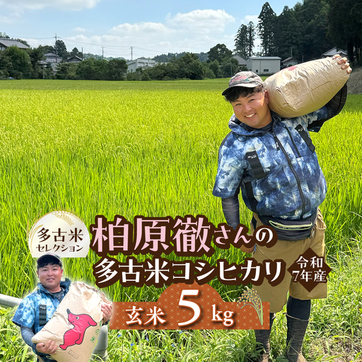 多古米セレクション　柏原徹さんの多古米コシヒカリ　玄米5kg　令和7年産【配送不可地域：離島・沖縄県】米 白米 千葉県産 ご飯 TAKF063
