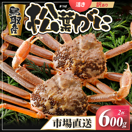 Y929【活物】訳あり松葉がに600g超の大きいサイズ食べ応えあり2杯