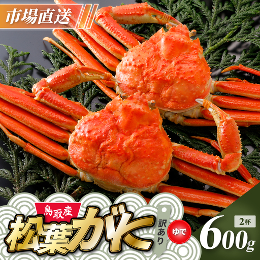 Y930[ボイル]訳あり松葉がに600g超の大きいサイズ食べ応えあり2杯