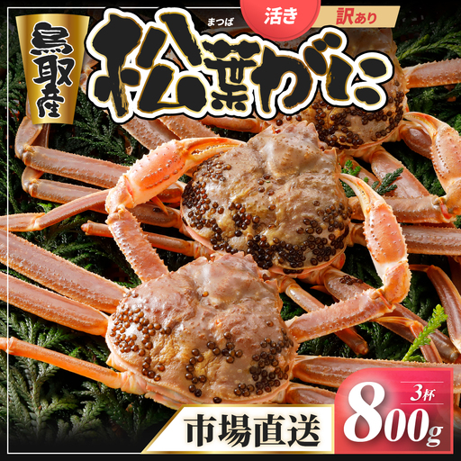 Y943【活物】訳あり松葉がに800g超の大きいサイズ特大3杯