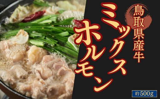 Y1026 鳥取県産牛ミックスホルモン 約500g