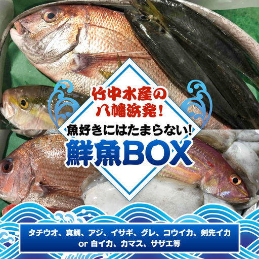 竹中水産の八幡浜発!「魚好きにはたまらない!鮮魚BOX」【F22-135】【配送不可地域：離島・北海道・沖縄県】【1043165】 YWTM002