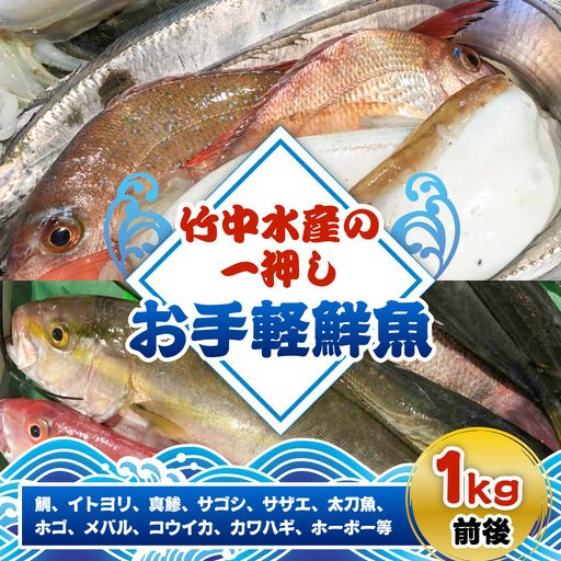 竹中水産の一押し「お手軽鮮魚」1キロ前後[C22-235][配送不可地域:離島・北海道・沖縄県][1073396]