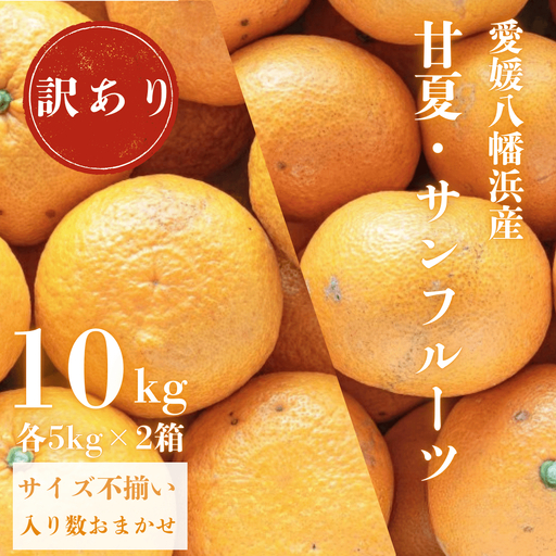 [先行受付]甘夏&サンフルーツ各5kg[訳あり][C20-19][1094577]