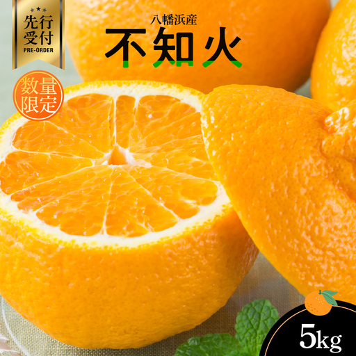 【先行受付】八幡浜産・不知火5kg[数量限定!]【D56-13】【1139909】 YWTAS007
