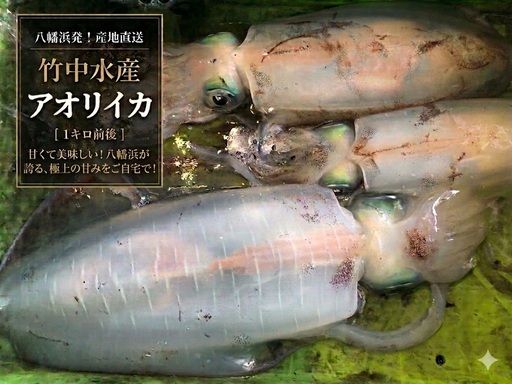 竹中水産のアオリイカ1kg前後!(±100g)【D22-274】【配送不可地域：離島】【1143922】 YWTM091