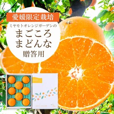 [先行受付]紅まどんなと同品種 愛媛果試28号 ギフトボックス入り6〜8個[D25-91][1346971] YW