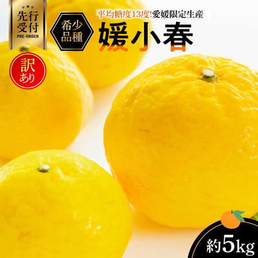 【先行受付】平均糖度13度!愛媛限定生産の希少品種「媛小春」(約5kg)【訳あり】【D56-48】【配送不可地域：離島】【1486143】 YWTAS038