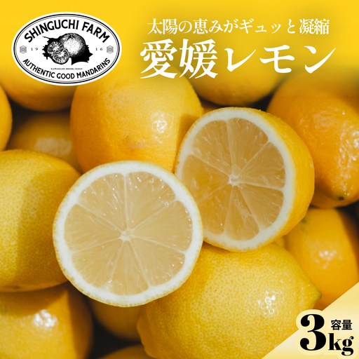 【先行受付 2027年発送】愛媛育ちのレモン 3kg 防腐剤・ワックス不使用【C70-20】【1470687】 YWTK020