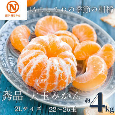 [先行受付]JAにしうわの季節の柑橘(にしうわみかん「秀品2L大玉みかん」約4kg)[C08-72]
