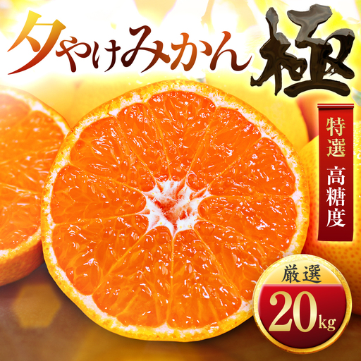【先行受付】【甘みが濃縮されたみかん】愛媛で育った夕やけみかん【極】20kg【H49-29】【1508883】 YWTZ021