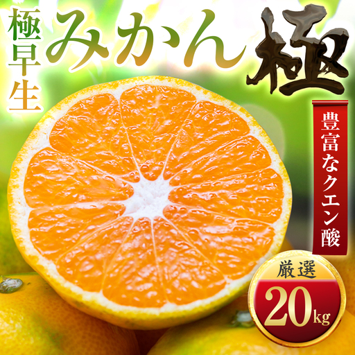 【先行受付】【今年最初のみかん】極早生みかん【極】20kg（小玉）　愛媛県産 【H49-38】【1508917】 YWTZ030
