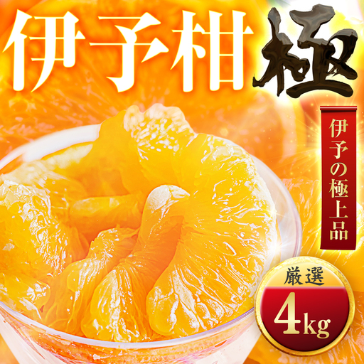 【先行受付】【昔ながらの美味しさ】伊予柑【極】4kg　愛媛県産 【C49-42】【1509739】 YWTZ034