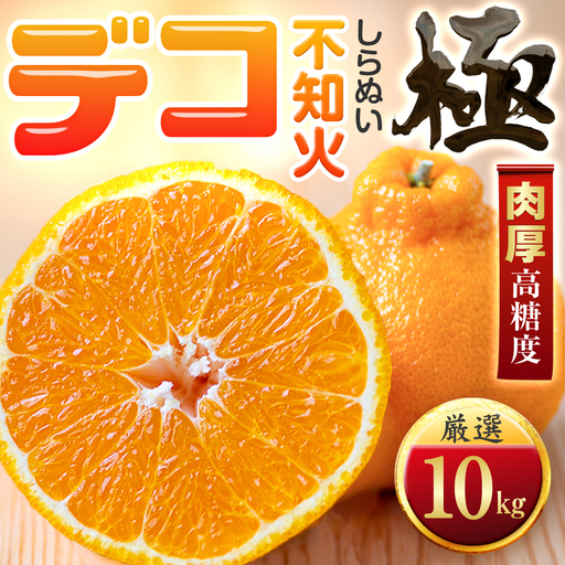 【先行受付】【濃厚果実】コク深い甘み【デコ(不知火)（デコポンと同品種）】【極】10kg　愛媛県産【H49-47】【1509744】 YWTZ039