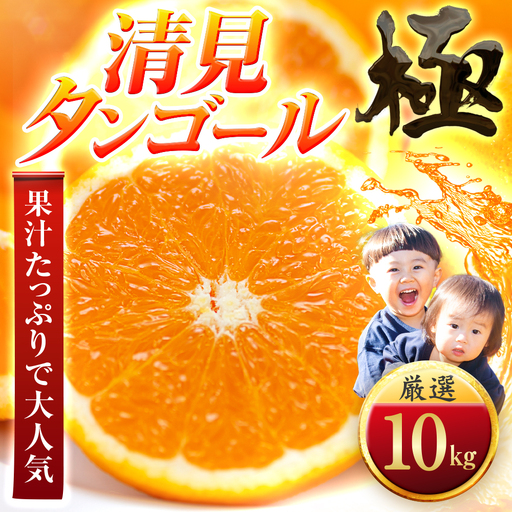 【先行受付】【オレンジ好き必見】とろける果肉【清見タンゴール】【極】10kg　愛媛県産 【F49-53】【1509750】 YWTZ045