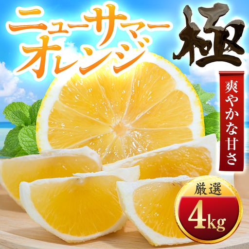 【先行受付】【朝に食べたい】ニューサマーオレンジ【極】4kg　愛媛県産【C49-57】【1509760】 YWTZ049