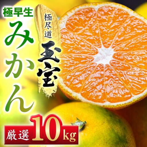 【愛媛名産】極早生みかん【雫・・小玉】 10kg【F64-24】【1510680】 YWTY013
