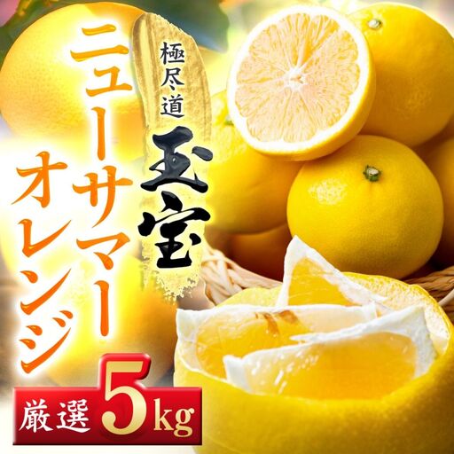 【先行受付】【愛媛名産】玉宝ニューサマーオレンジ　5kg【E64-38】】【1510842】 YWTY027