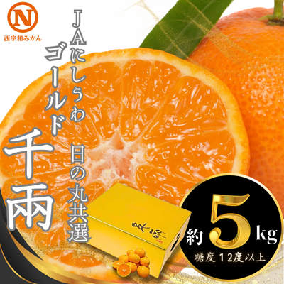 【先行受付】JAにしうわの季節の柑橘(日の丸共選「ゴールド千兩」約5kg)【F08-45】 YWTV016