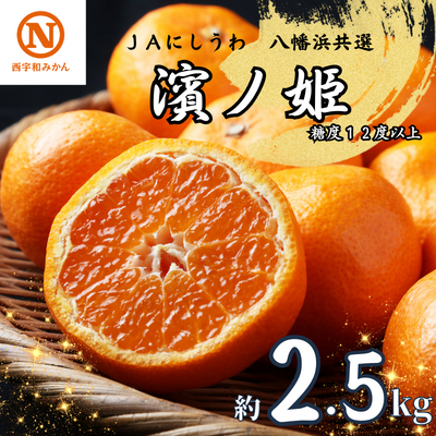 【先行受付】JAにしうわの季節の柑橘(八幡浜共選「濱ノ姫」約2.5kg)【D08-76】 YWTV033