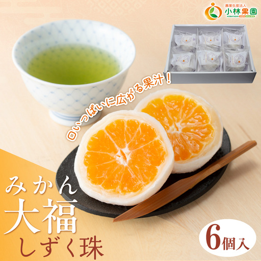 本物産地の味” みかん大福「しずく珠(だま)」口いっぱいに広がる果汁!【C24-11】【配送不可地域：離島】【1171839】 YWTAD006