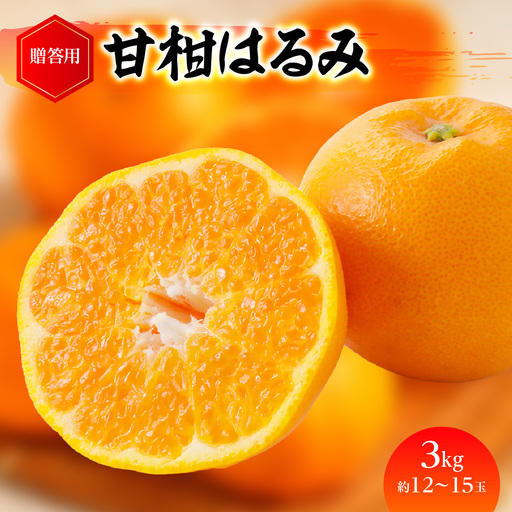 【先行受付】「甘柑はるみ」贈答用3kg【C79-23】【1474167】 YWTC019