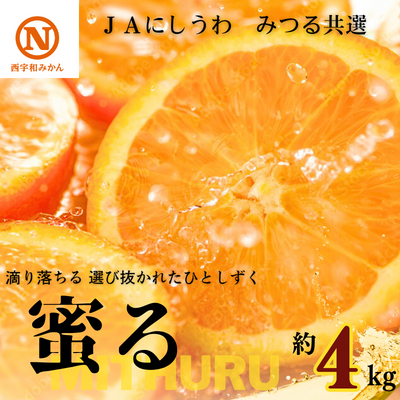 【先行受付】JAにしうわの季節の柑橘(みつる共選「蜜る」約4kg)【D08-48】 YWTV019