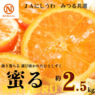 [先行受付]JAにしうわの季節の柑橘(みつる共選「蜜る」約2.5kg)[C08-74]