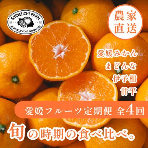 [発送月固定定期便]愛媛の美味しい柑橘 みかん・まどんな・伊予柑・甘平[H70-40]全4回[4055156]
