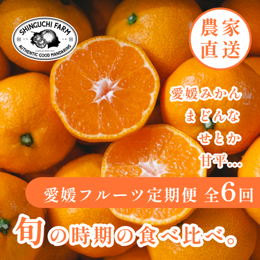[発送月固定定期便]愛媛の美味しい柑橘 人気6品種 まどんな・甘平・せとか等[H70-41]全6回[4055158]