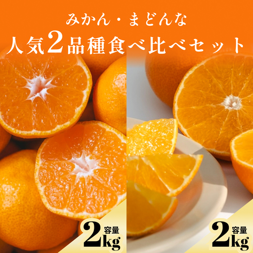 【先行受付】五代目が厳選したみかん+まどんな 人気2品種食べ比べ 【各2kg】【D70-36】【1536339】 YWTK036