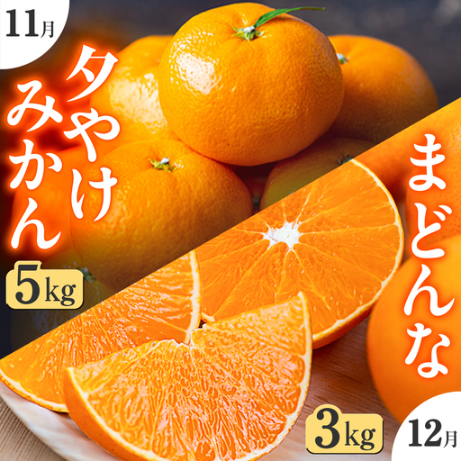 [発送月固定定期便]「こたつの上の冬物語」夕やけみかん+まどんな![H49-72]全2回[4056123]