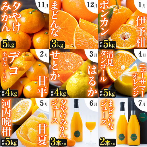 【発送月固定定期便】「こたつの上の冬物語」驚異の全14種類!!【H49-75】全9回【4056043】 YWTZ007