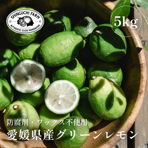 【先行受付】【皮ごと食べられる】瀬戸内グリーンレモン 5kg 防腐剤・ワックス不使用【D70-48】【1550660】 YWTK048