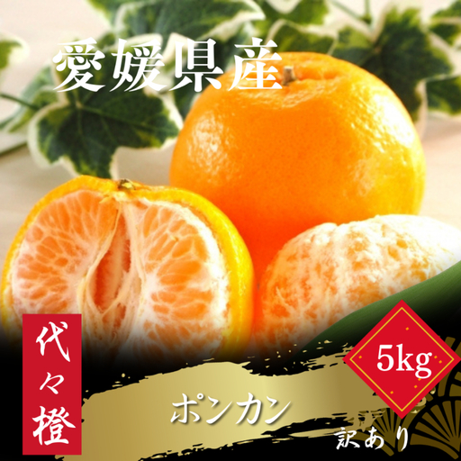 [先行受付][濃厚な甘さ][訳あり]ポンカン 5kg[C83-15][1549105]