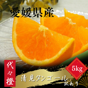 【先行受付】【トロッととろける果実】【訳あり】清見タンゴール 5kg【C83-16】【1549106】 YWTW016