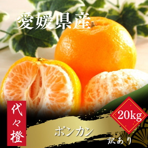 【先行受付】【濃厚な甘さ】【訳あり】ポンカン 20kg【H83-25】【1557489】 YWTW025