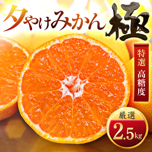 【先行受付】【太陽をたっぷり浴びた】夕やけみかん【極】2.5kg【A49-76】【1557599】 YWTZ061