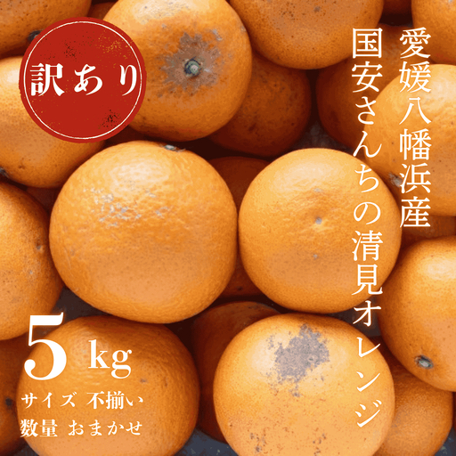 【先行受付】【まるで食べるジュース!越冬完熟品】愛媛産 訳あり 清見オレンジ 5kg【C20-33】【1594859】 YWTI028